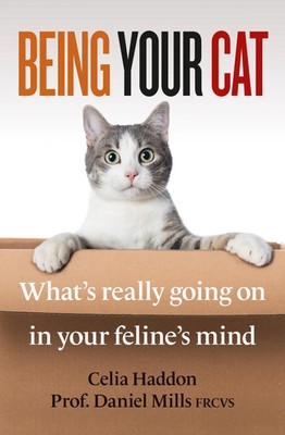 Being Your Cat | What's really going on in your feline's mind | Haddon (u. a.)
