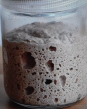 SAN FRANCISCO's Sourdough Starter from the wharf 100 years old sour and active W