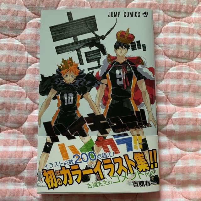 Haikyuu Official Color Art Book 208pages Haruichi Furudate Japan Manga For Sale Online Ebay