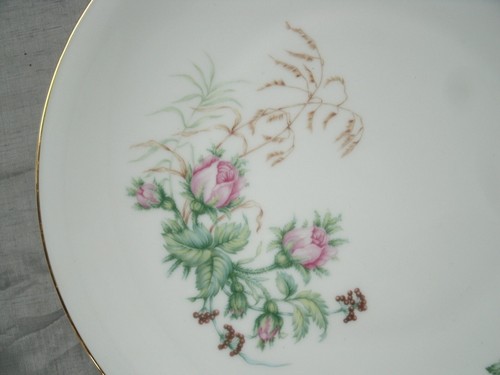 Vtg Heinrich MOSS ROSE Set of 6-6+" Bread Dessert Plates Selb White Background - Picture 3 of 4