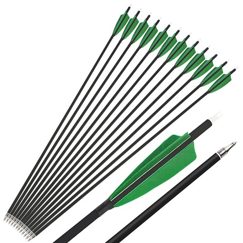 28" 30" 31" Carbon Arrows SP500 Feathers Screw Tips Recurve Compound Bow Hunting - Picture 19 of 36
