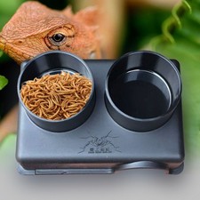 Reptile Escape Prevention Food Bowl Water Dish for Reptiles Feeder