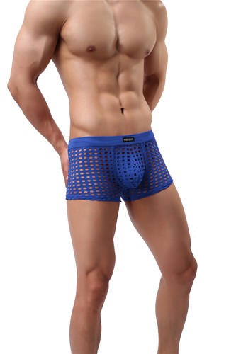 Herren Dessous durchsichtig Netz Boxershorts Shorts Low Rise Unterwäsche hohl - Bild 53 von 63