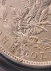 1921-P  Morgan Silver Dollar $1 PCG MS 63 "Struck Thru Reverse" (Chunk Gone!)