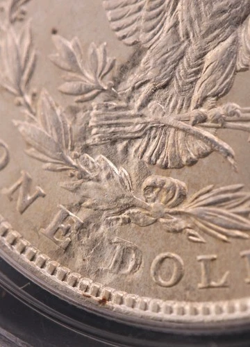 1921-P  Morgan Silver Dollar $1 PCG MS 63 "Struck Thru Reverse" (Chunk Gone!)