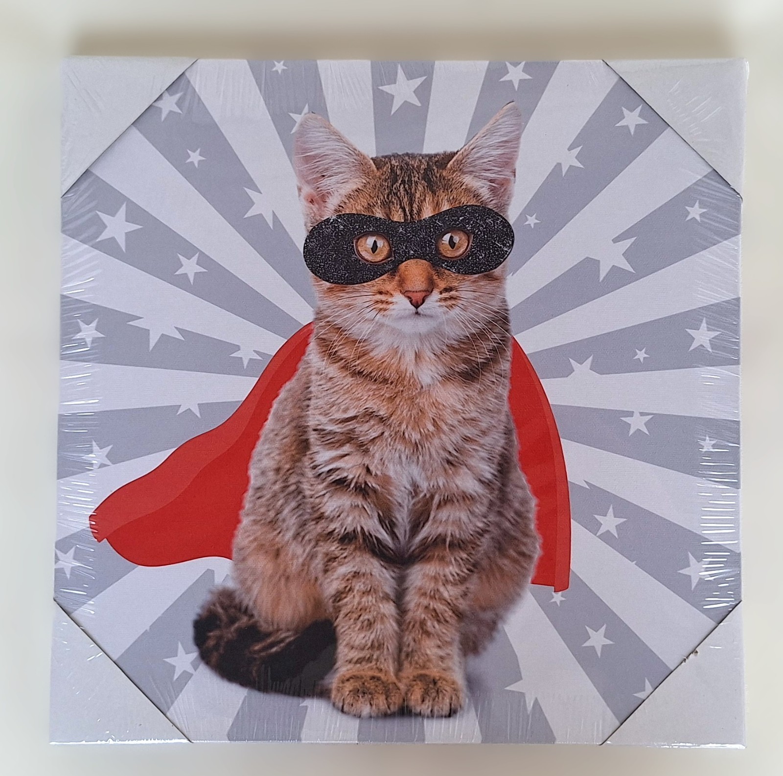 Tableau chat super-héros 28x28cm idée cadeau fans animaux