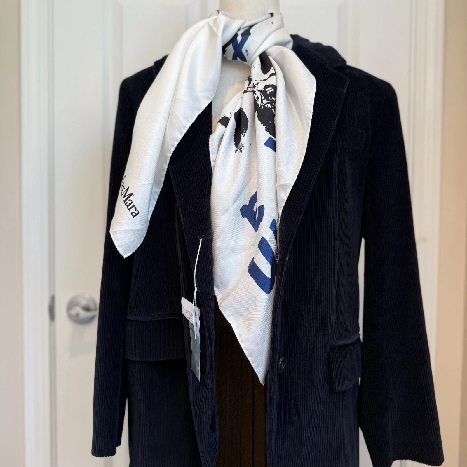 NWOT Max Mara Label-cut Oversized 100% Silk Scarf Size:OS Fall/Winter/Holiday
Opens in a new window 