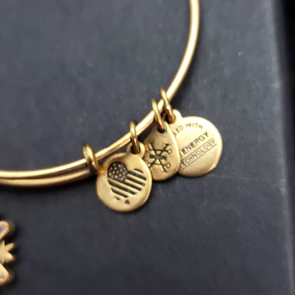 Pulseira Berloque Floco de Neve Alex And Ani 2017 - Imagem 4 de 4