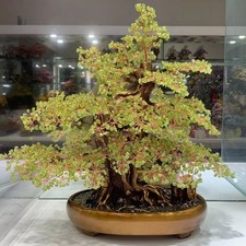 Peridoto Cuarzo Cristal Bonsai Árbol Energía Árbol Piedras Preciosas Árbol de la Vida Decoración del Hogar
