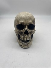 Skeleton Skull Bones Life Size Skull Haunted House Escape Horror Props