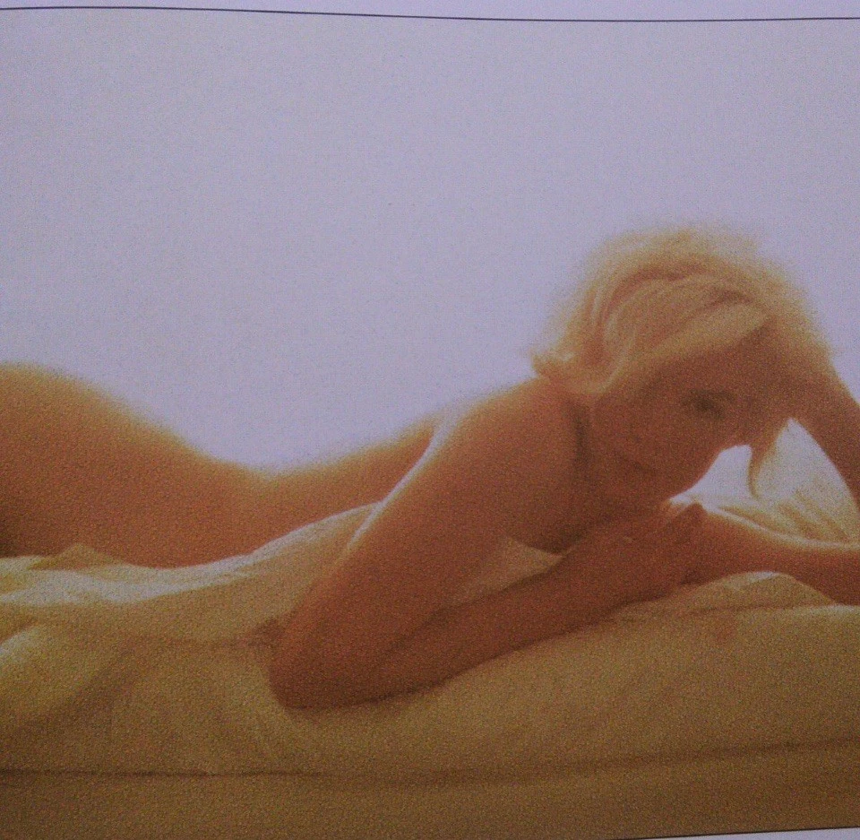 Marilyn Monroe Fotobuch "The Last Sitting" 1995 Ausstellung Broschüre & Ticket - Bild 3 von 4