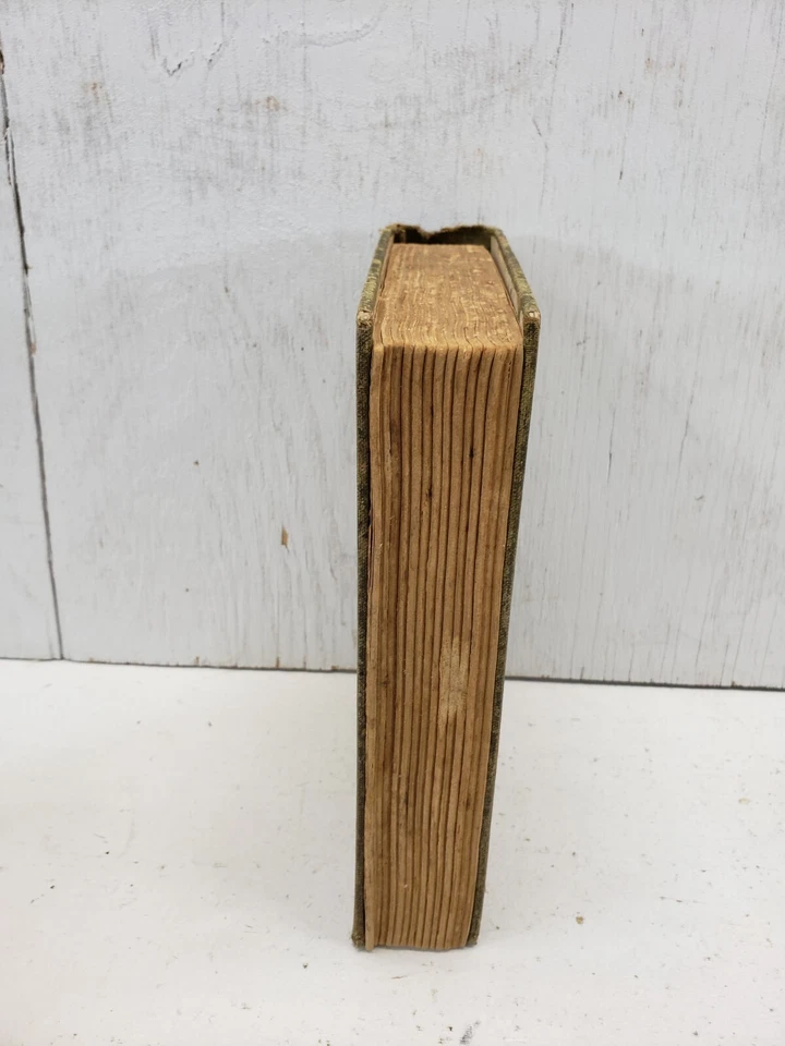 Freckles by Gene Stratton-Porter, 1904 Foto 2 de 4