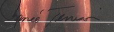 Playboy Centerfolds of the Century Jumbo TC Renée Tenison Autograf
