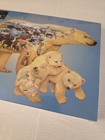 National Geographic Polar Bears 1000 Piece Jigsaw Puzzle Brand New — photo 4