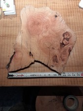 Cedar Burl Slice Wood Slab 3/4 Inch Thick