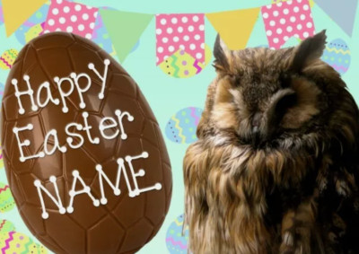 Eule Vogel Frohe Ostern personalisierte Grußkarte A5 Schokoladenei EE87