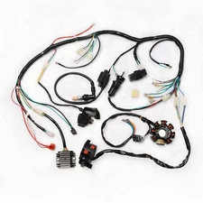 COMPLETE ELECTRICS ATV QUAD 200cc 250cc CDI Wire Harness Zongshen Lifan 2 Holes