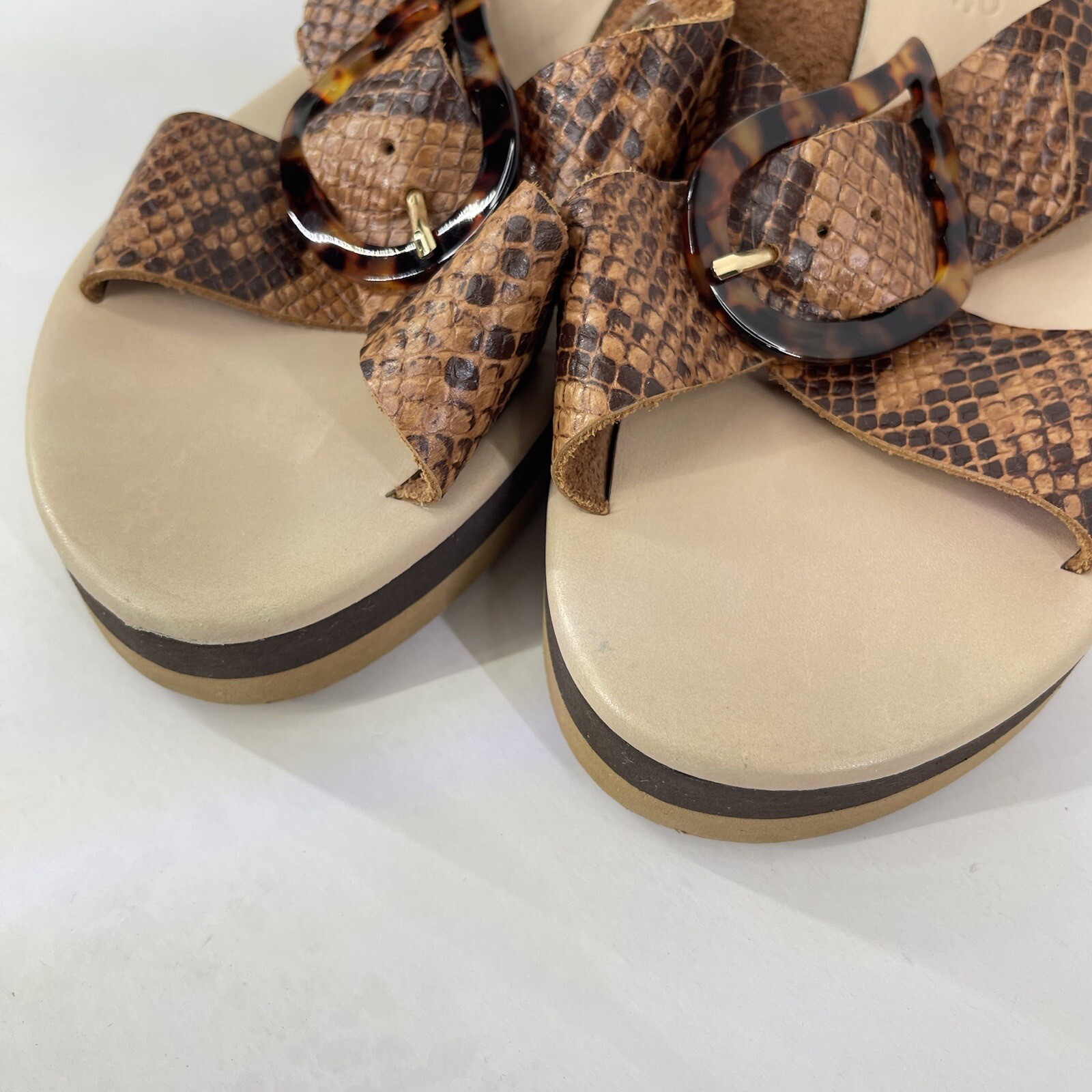 Ancient Greek Brown Thai Python Rainbow Tampa Wed… - image 8