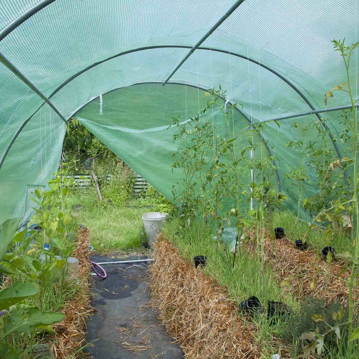 Serra Da Giardino 10mq 2.5x4m - Tunnel In Acciaio Zincato, Copertura In PE | 250x400x190cm