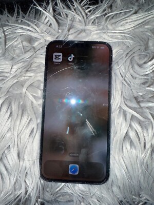 Apple iPhone 13 Pro Max - 256 GB - Blue (Unlocked)- With TikTok and Capcut 
