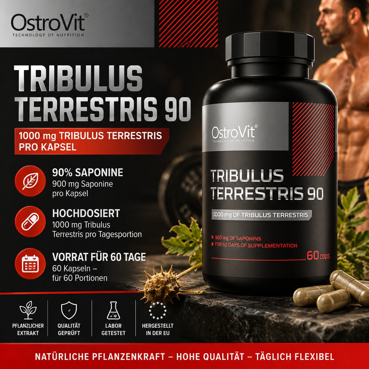 OstroVit Tribulus Terrestris 90 1000 mg 60 Kapseln