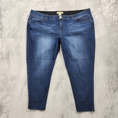 Democracy Jeans Womens 24W Blue High Rise Ab Technology Jegging Stretch Denim