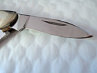Frost Cutlery Pocket Knife Alaska Moose Bone Scrimshaw Z0208 — photo 7