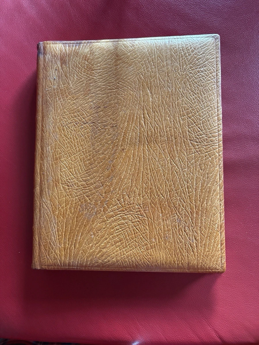 AnzeigeALDI Fotobuch Erstellen | Fotobuch A4 Ab Nur 7,99