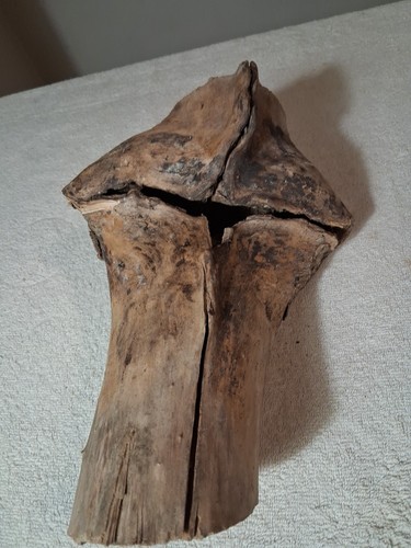 Really Cool Natural Large Driftwood??? Or Wood