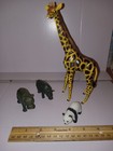 Bild 5 von 5