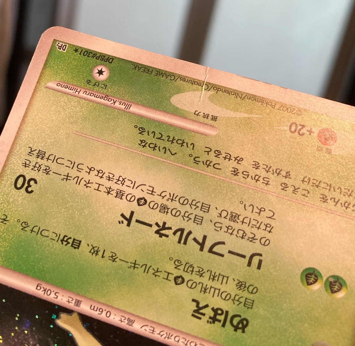 Pokemon Card Celebi DPBP#301 DP2 Holo Japanese #230920 | eBay