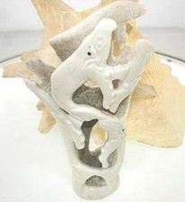 GENUINE MASTER HAND-CARVED DEER ANTLER HAWAIIAN HUMPBACK WHALES 5 1/4