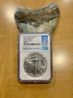 2021 American Silver Eagle MS70 1oz .999 Fine Silver Coin