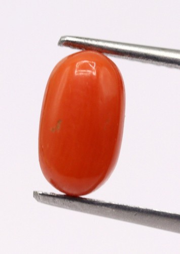 1.38 Ct Natural Saffron Red Coral Italy Loose Capsule Shape Untreated Gemstone - Picture 7 of 9