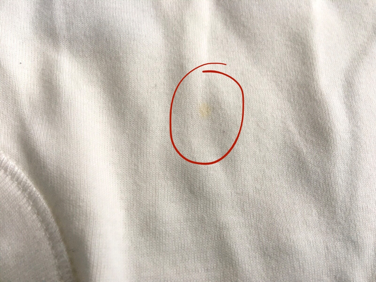 Foto 8 di 10