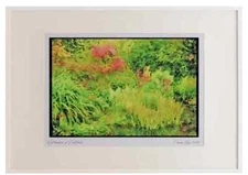 Garden 131059 Pond With Bog Plants A3 Picture Frame Watercolour print