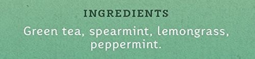 Stash Tea Moroccan Mint Green Tea Box of 100 Tea Bags Packaging May Vary