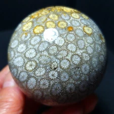 TOP 238G Natural Polished Colorful Coral jade Agate Ball Stone Healing A4591