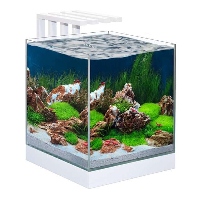 CIANO Nexus Pure 25 Cube Aquarium With LED Light Coldwater Fish Tank Kits for sale online eBay