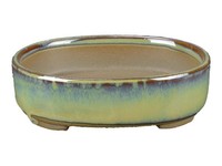 Japanische Bonsaischale Morrisan Oval Aus HellgrüN Glasiertem Steinzeug 8X9,5X2