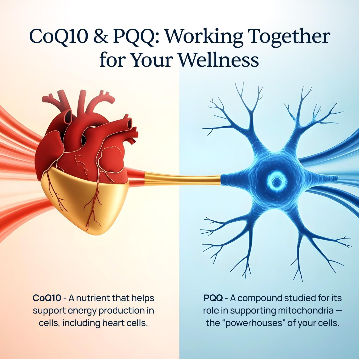 Simple Promise CardioClear7 – 30 Capsules – NEW SEALED