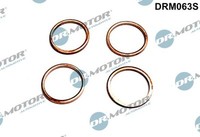 Dr.Motor Automotive DRM063S Dichtring, Einspritzventil FüR CitroËN Peugeot