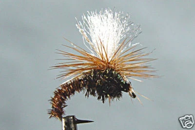 10 Mouches Klinkhamer Special H12/14/H16 – émergente Parachute – Pêche à La Mouche