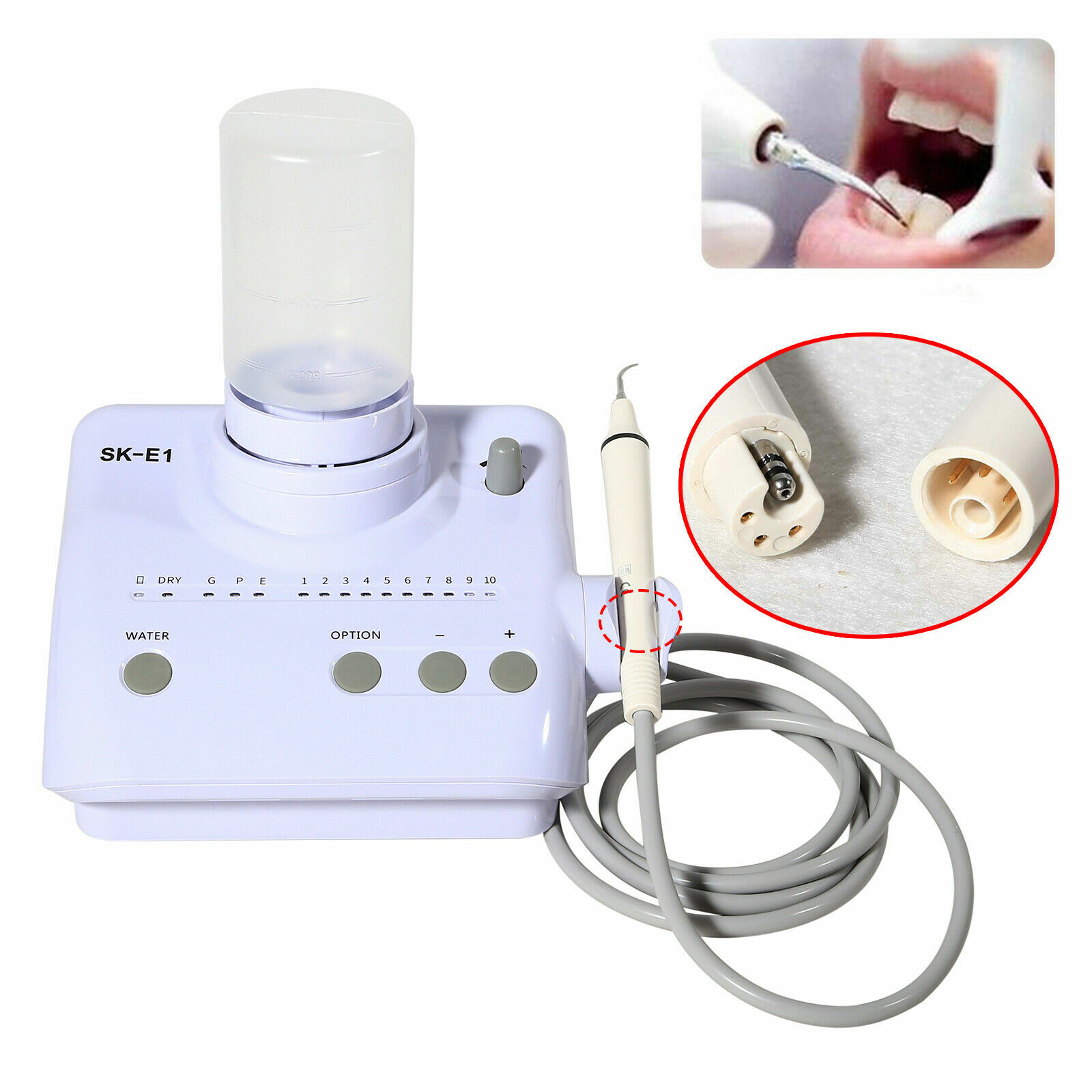 Portable Dental Ultrasonic Piezo Scaler w/ Handpiece Tips Bottles Fit EMS/DTE SK eBay