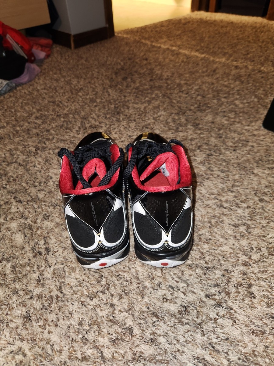 シューズ(男性用) NIKE AIR JORDAN 2009 HOF Jordan 2009 Hall