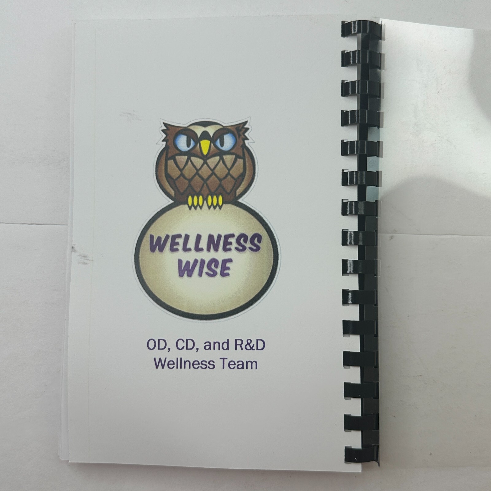 Healthy Recipes Round Up! Cookbook By Wellness Wise Savory Food Cooking ...