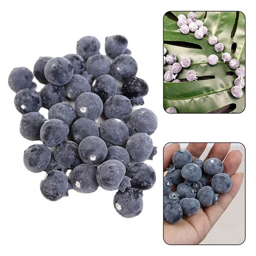 Artificial Blueberries Simulation Fruit Fake-Fruit-Home-Decor Kitchen Display - Picture 12 of 12