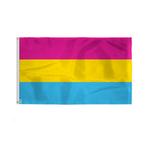 PanSexual Flagge - einseitig bedruckt - Messing Ösen - ausbleichsichere Farben - Bild 9 von 33