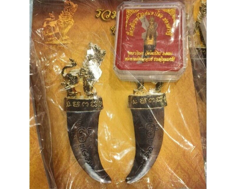 Singha Fang Talismán Khun Thongchai Wat Trimit Templo Tigre Buda Tailandés Amuleto