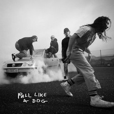 The Scratch : Pull Like a Dog VINYL 12" Album Coloured Vinyl (Limited Edition)